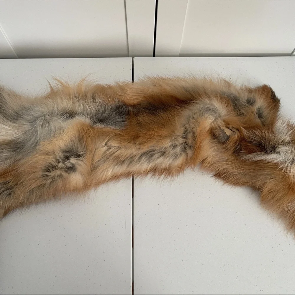 Real Red Fox Fur Pelt Hide Stole Scarf Log Cabin Decor Crafts Art Wall Hanging! - Picture 12 of 15